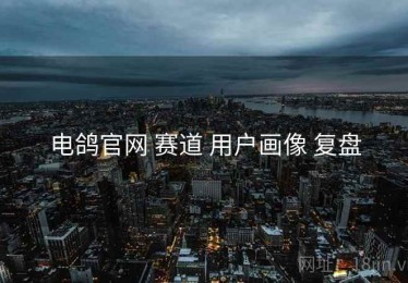电鸽官网 赛道 用户画像 复盘
