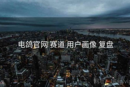 电鸽官网 赛道 用户画像 复盘