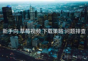 新手向 草莓视频 下载策略 问题排查