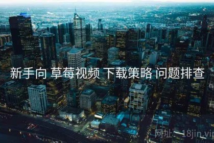 新手向 草莓视频 下载策略 问题排查