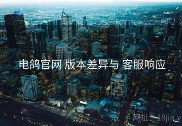 电鸽官网 版本差异与 客服响应