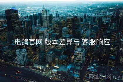 电鸽官网 版本差异与 客服响应