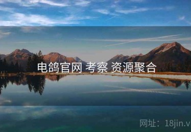 电鸽官网 考察 资源聚合