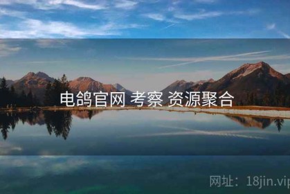 电鸽官网 考察 资源聚合