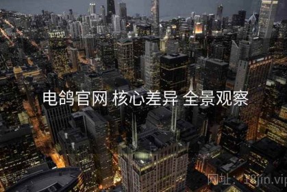 电鸽官网 核心差异 全景观察