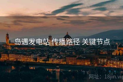 岛遇发电站 传播路径 关键节点