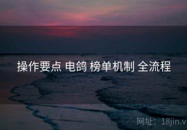操作要点 电鸽 榜单机制 全流程
