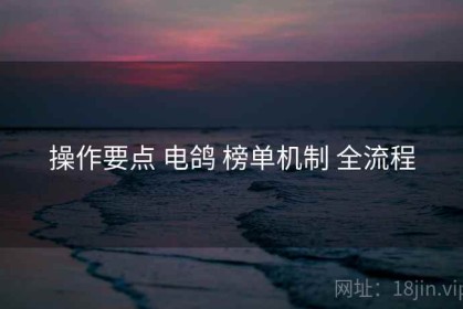 操作要点 电鸽 榜单机制 全流程