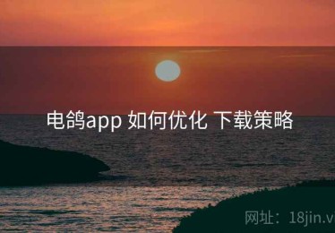 电鸽app 如何优化 下载策略