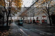 蓝莓视频 x 注册流程 全流程