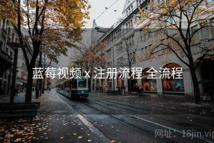 蓝莓视频 x 注册流程 全流程