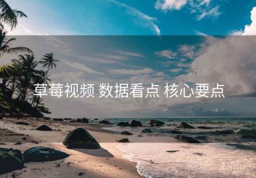 草莓视频 数据看点 核心要点