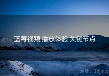 蓝莓视频 播放体验 关键节点