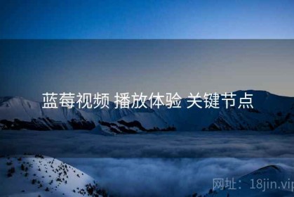 蓝莓视频 播放体验 关键节点