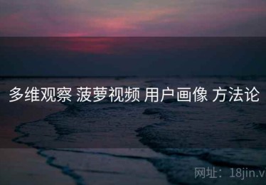 多维观察 菠萝视频 用户画像 方法论