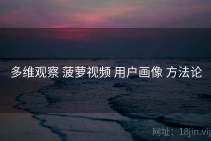 多维观察 菠萝视频 用户画像 方法论