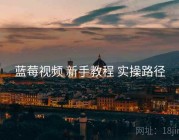 蓝莓视频 新手教程 实操路径