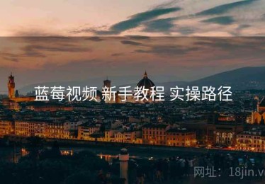 蓝莓视频 新手教程 实操路径