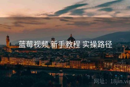 蓝莓视频 新手教程 实操路径
