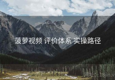 菠萝视频 评价体系 实操路径
