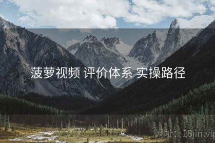 菠萝视频 评价体系 实操路径