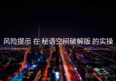 风险提示 在 秘语空间破解版 的实操