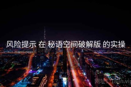 风险提示 在 秘语空间破解版 的实操