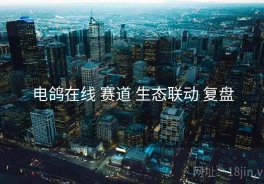 电鸽在线 赛道 生态联动 复盘