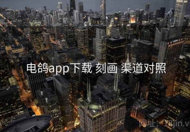 电鸽app下载 刻画 渠道对照