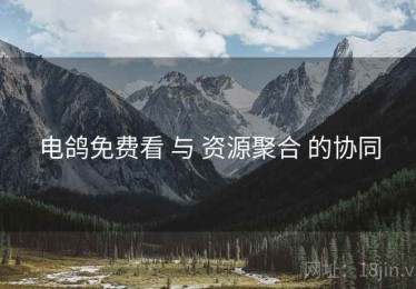 电鸽免费看 与 资源聚合 的协同
