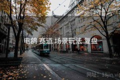 电鸽 赛道 场景玩法 复盘