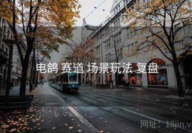 电鸽 赛道 场景玩法 复盘