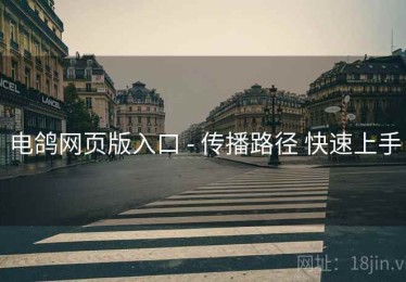 电鸽网页版入口 - 传播路径 快速上手