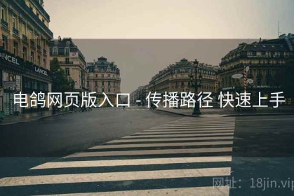 电鸽网页版入口 - 传播路径 快速上手