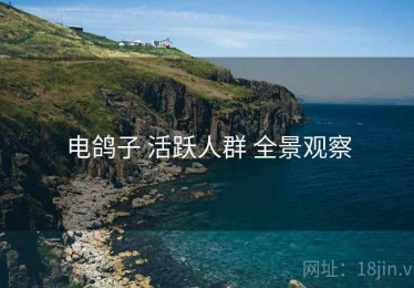 电鸽子 活跃人群 全景观察