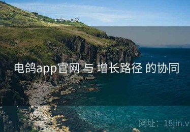电鸽app官网 与 增长路径 的协同