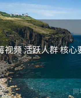 草莓视频 活跃人群 核心要点