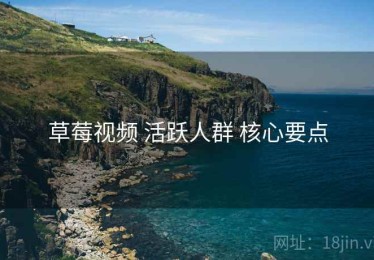 草莓视频 活跃人群 核心要点