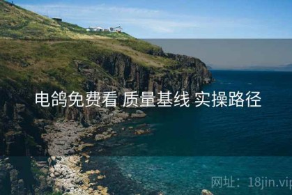 电鸽免费看 质量基线 实操路径
