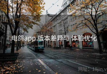 电鸽app 版本差异与 体验优化