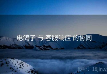 电鸽子 与 客服响应 的协同