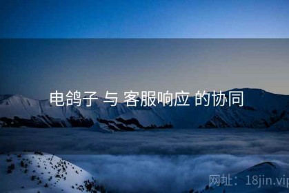 电鸽子 与 客服响应 的协同