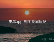 电鸽app 测评 投屏适配