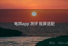 电鸽app 测评 投屏适配