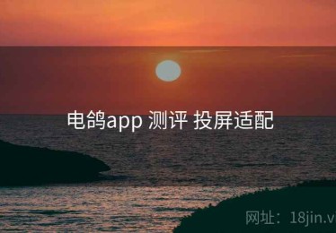电鸽app 测评 投屏适配
