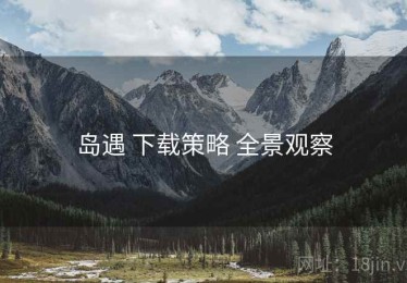 岛遇 下载策略 全景观察