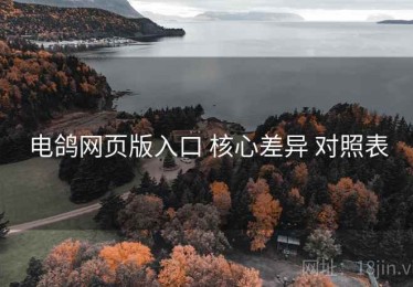 电鸽网页版入口 核心差异 对照表