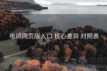 电鸽网页版入口 核心差异 对照表