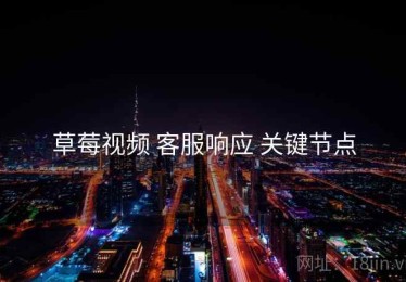 草莓视频 客服响应 关键节点