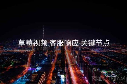 草莓视频 客服响应 关键节点